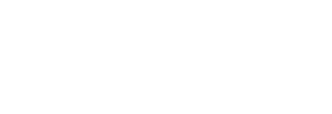 stezano consulting logo blanco