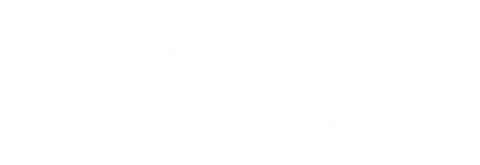 stezano consulting logo blanco